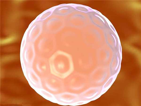 用胚胎胶固定一定能着床成功么？